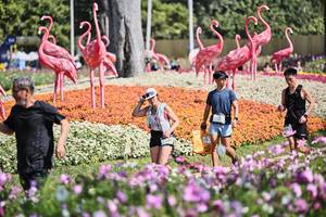 BIB: 
                            <button type="button" onclick="openModal(27794262)" class="btn btn-primary btn-sm float-right btn-popup" data-toggle="modal" data-target=".modal-high-quality">
                        <i class="fas fa-shopping-cart"></i> Add to Cart
                    </button>
                                            <button type="button" onclick="isThisMe(27794262, true)" class="btn btn-success btn-sm float-right btn-popup btn-isme hidden" data-toggle="tooltip" data-placement="bottom" title="นี่คือรูปของคุณใช่ไหม คลิกที่นี่เพื่อเอาเข้าอัลบั้ม">
                        <i class="fas fa-plus"></i> Add to album
                    </button>
                    <button type="button" onclick="isThisMe(27794262, false)" class="btn btn-warning btn-sm float-right btn-popup btn-isnotme hidden">
                        <i class="fas fa-ban"></i> Remove from album
                    </button>